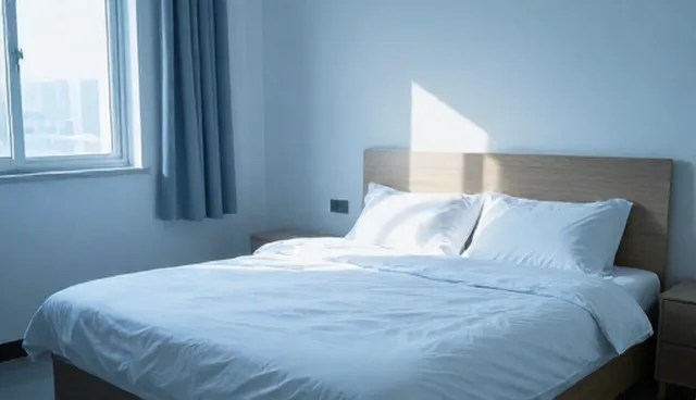 标准双人房选型关注点:服务质量如何影响入住体验
